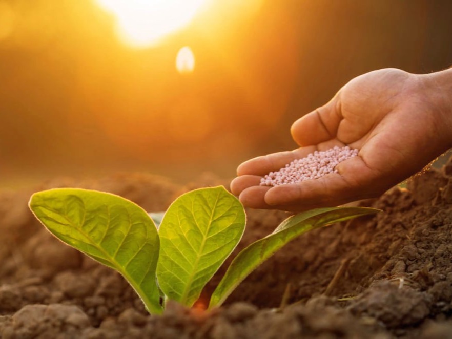 Carbamide / Urea Fertilizer
