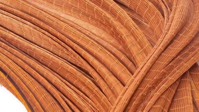 Polyamide Fabrics