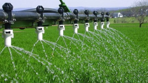 Fertilizers